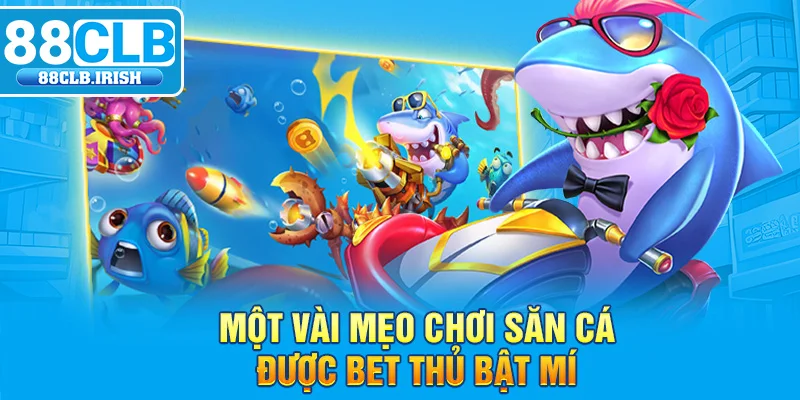 Một vài mẹo chơi săn cá được bet thủ bật mí