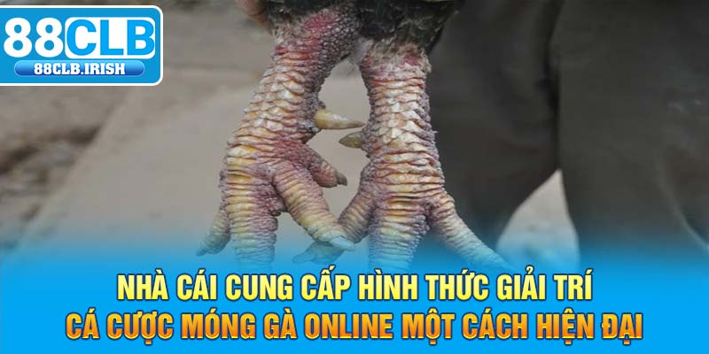 nhà cái cung cấp hình thức giải trí cá cược móng gà online một cách hiện đại 