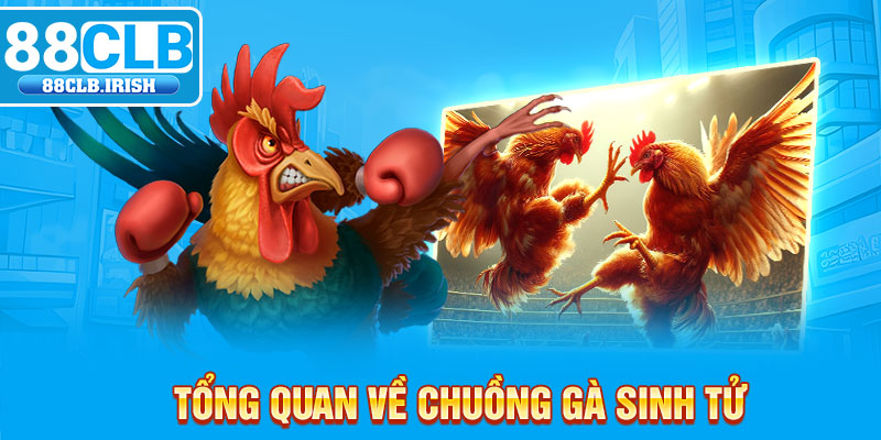 Tổng quan về chuồng gà sinh tử